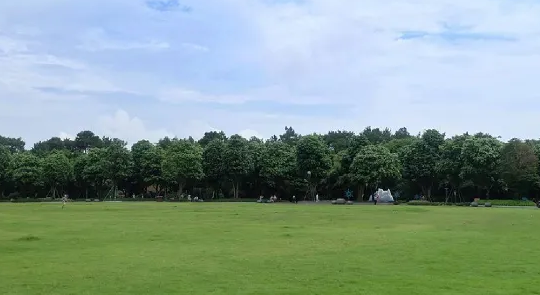 1669364322299.jpg