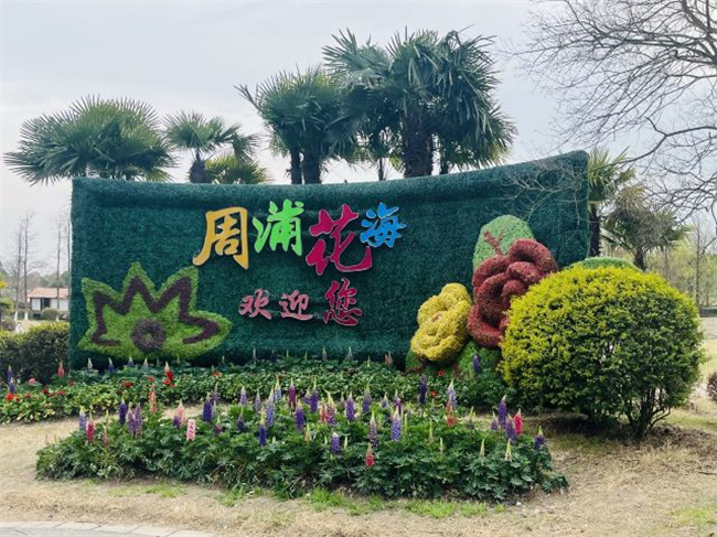 周浦花海.jpg