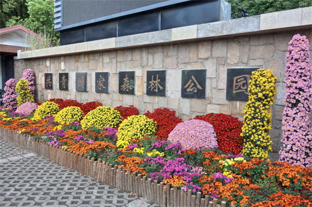 390b80df1ad12f4c6ec3bda99bd67aa6_副本.jpg