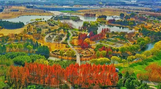 上海崇明岛两天一晚团建好玩的地方