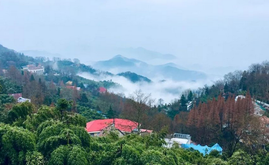 上海周边两天一夜团建的地方和玩法