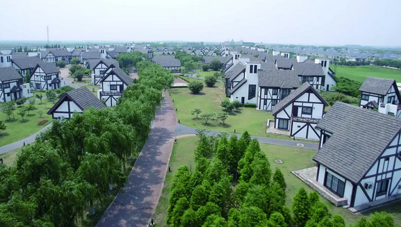 不出上海公司年会团建去哪里？