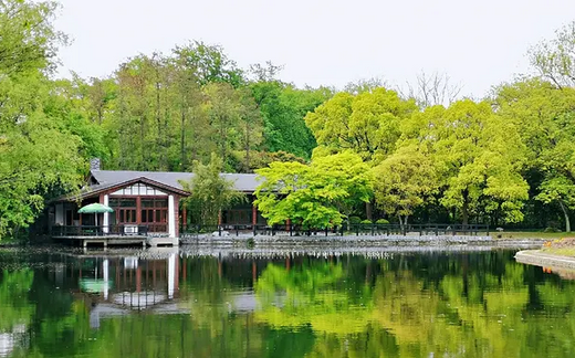 上海一日团建好去处  共青森林公园赏秋团建